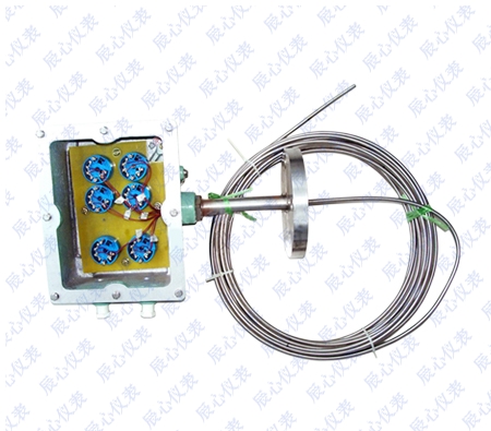 多點型熱電偶（ǒu）熱電阻