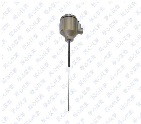 加強管型熱電（diàn）偶熱電阻